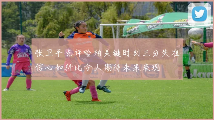 张卫平点评哈珀关键时刻三分失准信心如科比令人期待未来表现