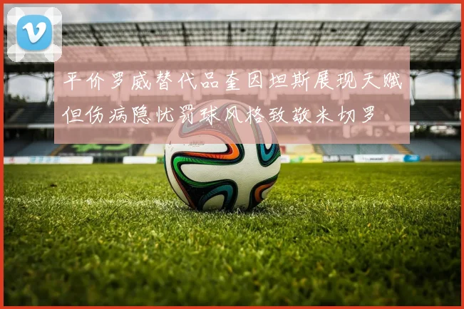 平价罗威替代品奎因坦斯展现天赋但伤病隐忧罚球风格致敬米切罗