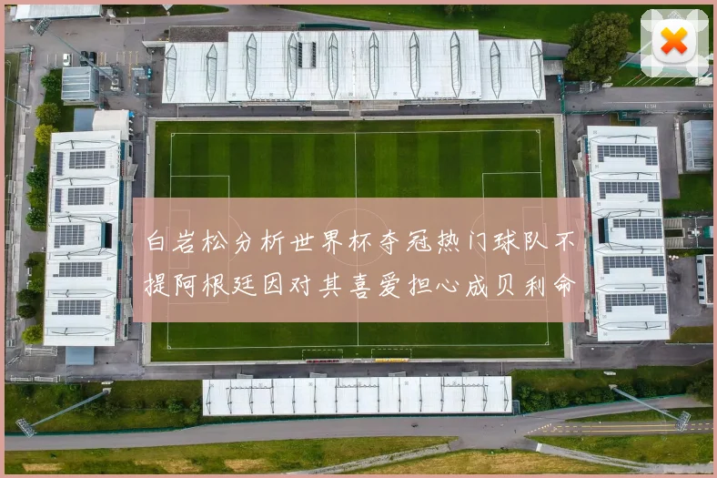白岩松分析世界杯夺冠热门球队不提阿根廷因对其喜爱担心成贝利命运